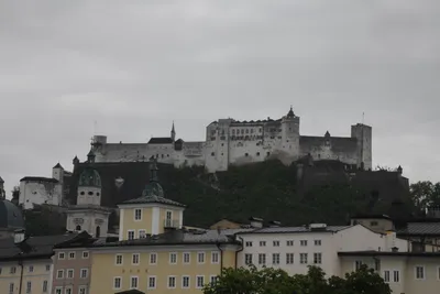 DSC_6155 (Large).JPG